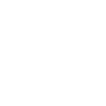 White VoltServer logo